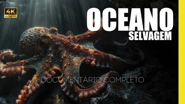 Oceano como você nunca viu