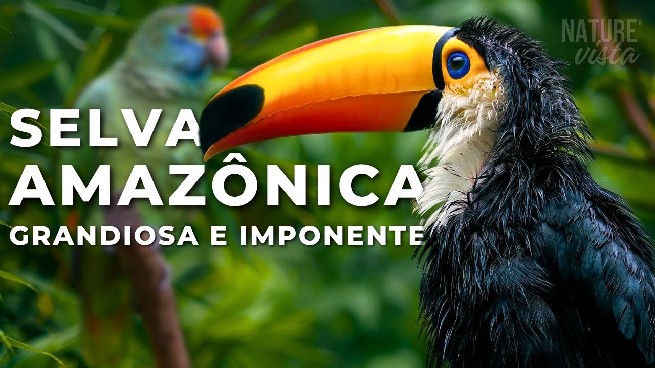 A grandiosa Amazônia