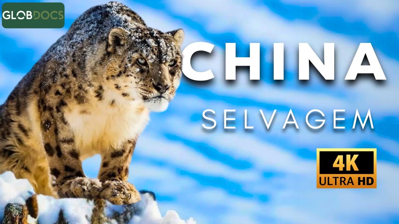 China selvagem: uma jornada pela terra do dragão