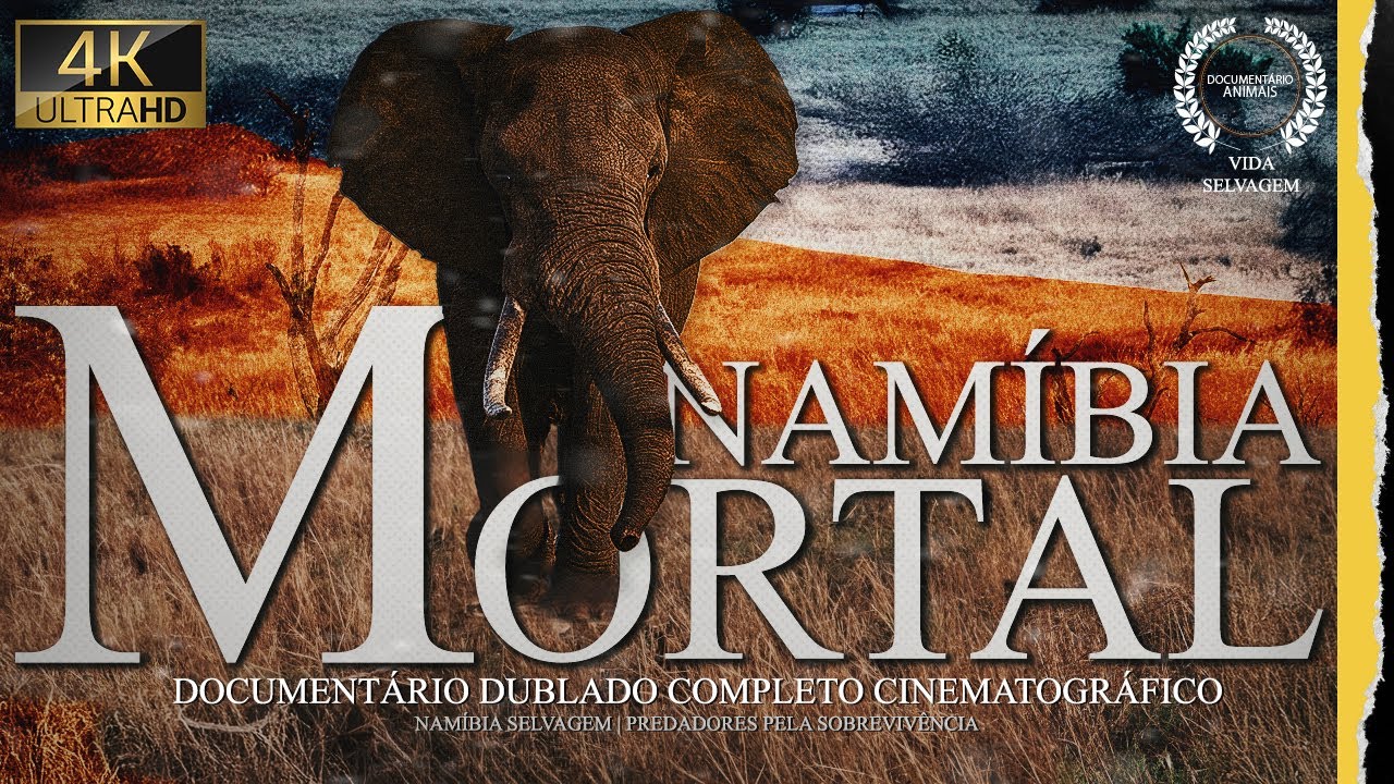Namíbia selvagem – predadores na batalha pela sobrevivência no deserto