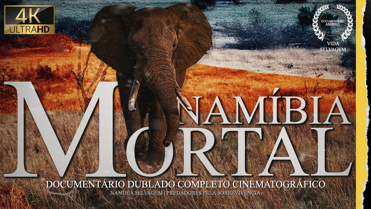 Namíbia selvagem – predadores na batalha pela sobrevivência no deserto