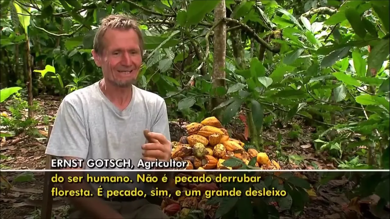 Conheça a agricultura sintrópica