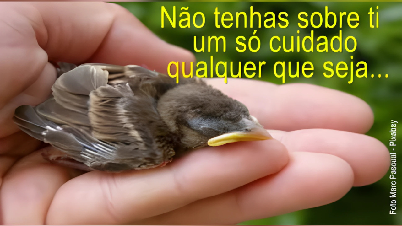 Não tenhas sobre ti um só cuidado, qualquer que seja